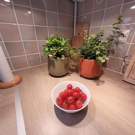 Apartman L'arena - Wi-fi - Centre -sncf - Arene